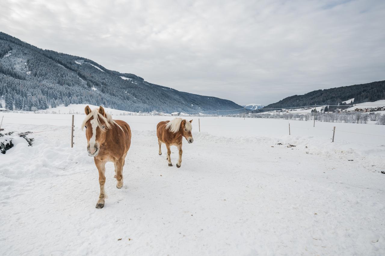 Pichlerhof Daire Planca di Sopra Dış mekan fotoğraf